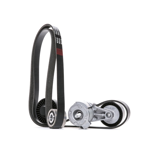 Juego de correas trapeciales poli V 7521491 RIDEX 542R0309