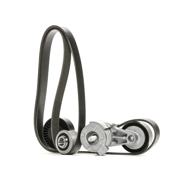 Juego de correas trapeciales poli V 7521491 RIDEX 542R0320