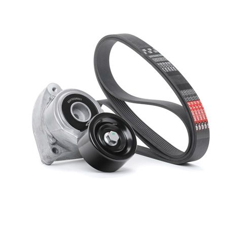 RIDEX 542R0324 Dirzas pleistiskas polifoninis CR-V II 2.4 4WD (RD7) benzinas 162 AG 2002