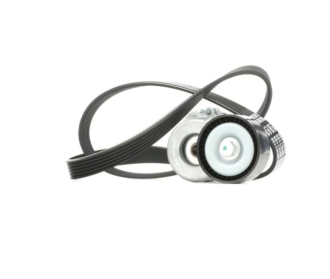 originale Fiat PANDA RIDEX Multirem 542R0342