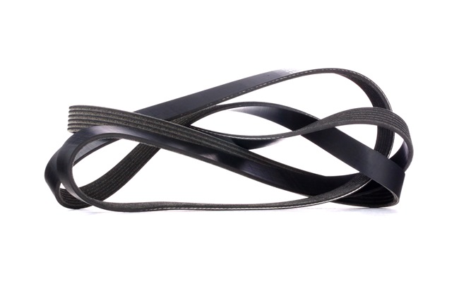 96989016 OE RIDEX Correia trapezoidal estriada 305P0424