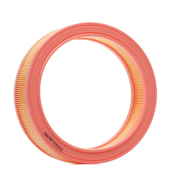 RIDEX 8A0972 Filtro de aire FORD ESCORT II (ATH) 1.3 Gasolina 70 cv 1980 precio