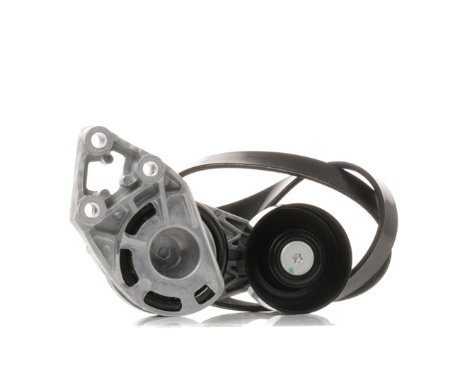RIDEX 542R0356 Kit de courroie d'accessoire AUDI A2 (8Z0) 1.4 TDI Diesel 90 CV 2005 prix