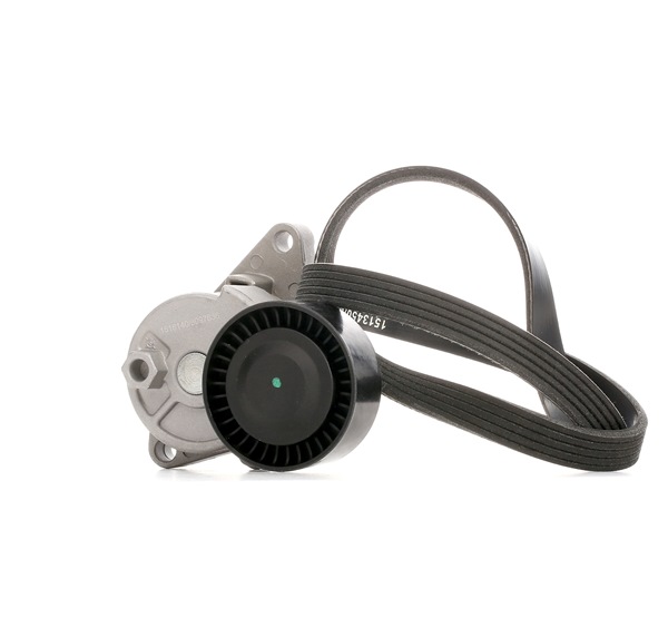 RIDEX 542R0357 Courroie d'alternateur BMW 3 Berline (E46) 330i 3.0 Essence 228 CV 2002 prix