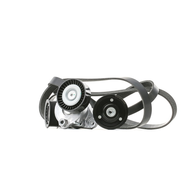 RIDEX 542R0364 Комплект поликлинового ремня Mercedes S204 C 250 (204.252) бензин 204 л.с. 2011