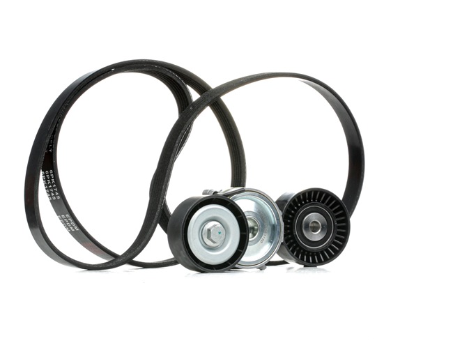 5750HG OE RIDEX V-Ribbed Belt Set 542R0377