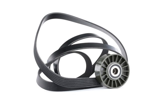RIDEX 542R0379 Kit cinghia servizi SSANGYONG Rexton / Rexton II (GAB_) 2.7 Xdi Diesel 163 CV 2025 prezzo