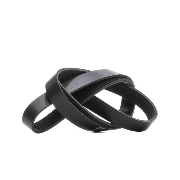 RIDEX 305P0431 Courroie trapézoïdale à nervures Scénic 3 1.2 TCe Essence 116 CV 2014 prix