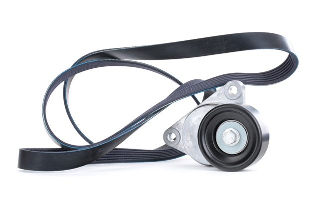 STARK SKRBS-1200399 Auxiliary belt Nubira Saloon (J200) 1.4 Petrol 94 hp 2003 price