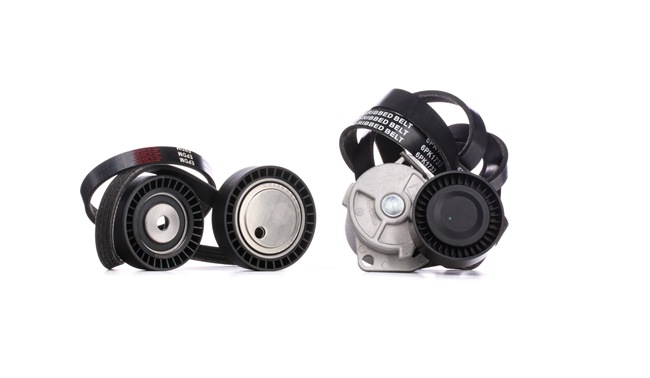 SKRBS-1200406 Kit cinghie poly-v STARK BMW Serie 3 prezzo