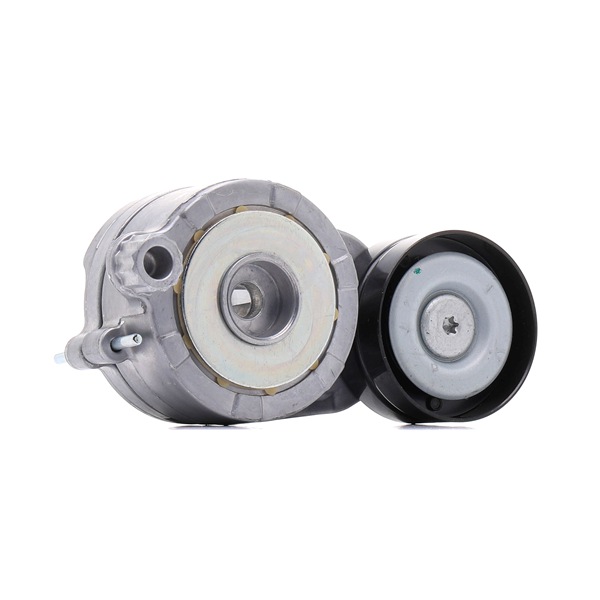 6422001970 OE RIDEX Galet tendeur de courroie d'accessoire 540T0034