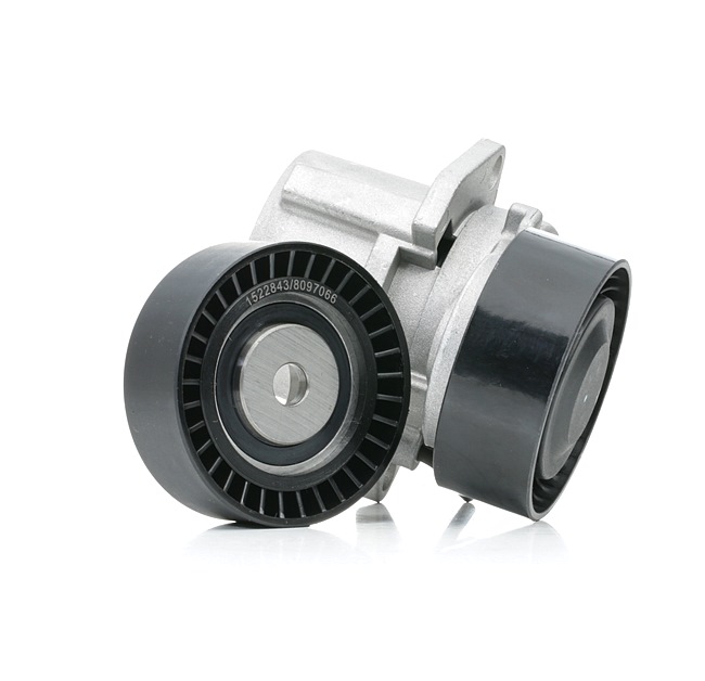 RIDEX 542R0415 V formos rumbuotas diržas, komplektas BMW E36 Coupe 316 i benzinas 102 AG 1997