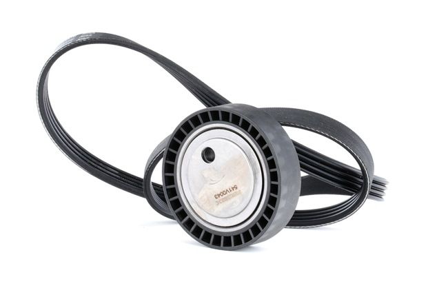 RIDEX 542R0427 V formos rumbuotas diržas, komplektas BMW 3 Coupe (E36) 316 i benzinas 102 AG 1998