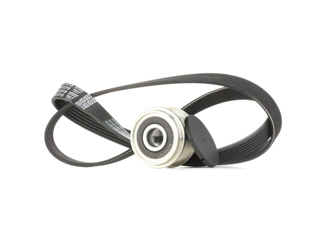 STARK SKRBS-1200438 Kit cinghie poly-v RENAULT Kangoo I Express (FC) 1.9 dTi Diesel 80 CV 2024 prezzo