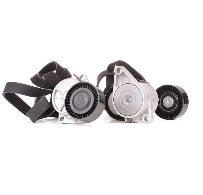 Komplet rebrastega jermena STARK SKRBS-1200443 primeren za BMW poceni