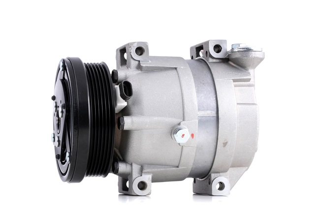 95953029 OE RIDEX Compresseur de climatisation 447K0426