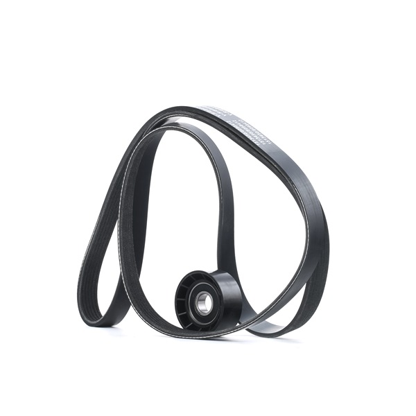 RIDEX 542R0471 Kit de courroie d'accessoire RENAULT Kangoo I Express (FC, FC0/1) 1.4 Essence 75 CV 2008 prix