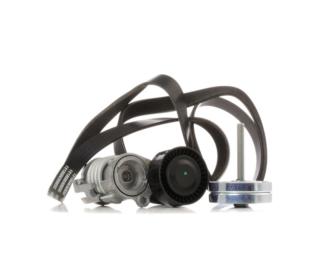 RIDEX 542R0478 Kit complet de courroies d'accessoire SEAT Ibiza III 3/5 portes (6L) 1.2 Essence 64 CV 2006 prix