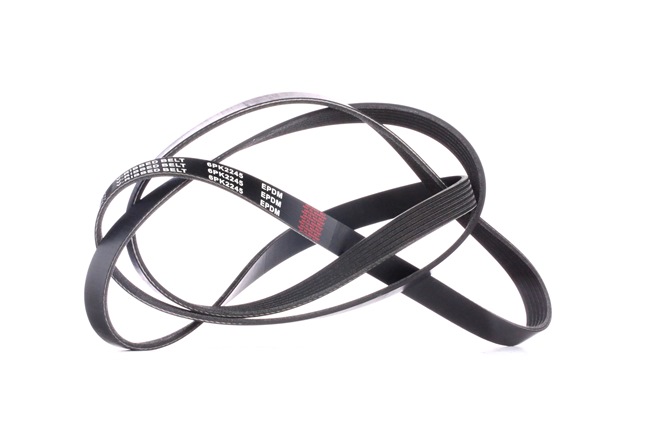 Correa trapecial poli V 117206N20A RIDEX 305P0452