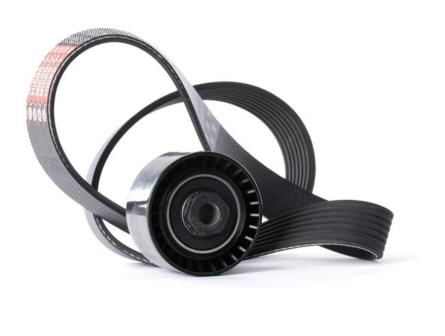 8200830184 OE RIDEX Jeu de courroies trapézoïdales à nervures 542R0503