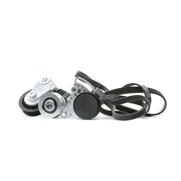 RIDEX 038145299A Moniurahihnasarja 542R0505