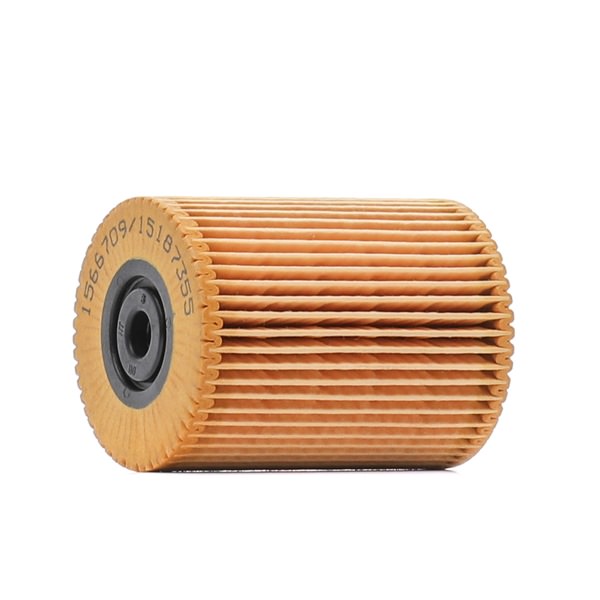 RIDEX 9F0303 Filtro de combustible VOLKSWAGEN Touareg (7LA, 7L6, 7L7) 3.2 V6 Gasolina 220 cv 2006 precio