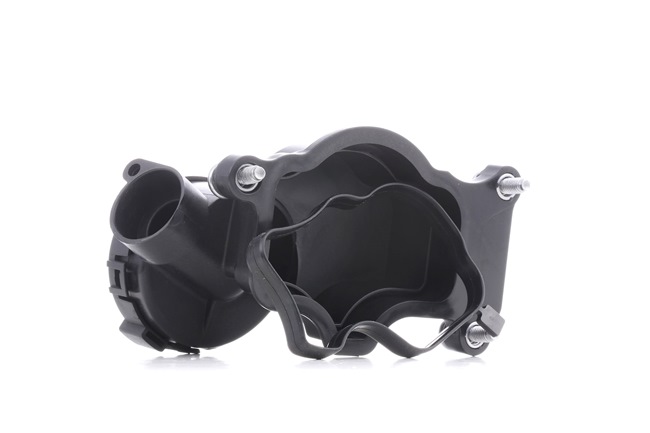 RIDEX 3886V0021 Válvula de ventilación del cárter X3 E83 xDrive30d 3.0 Gasóleo 218 cv 2008 precio
