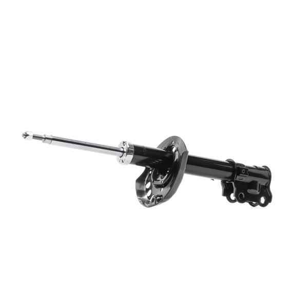 RIDEX 546502K300 Schokdemper