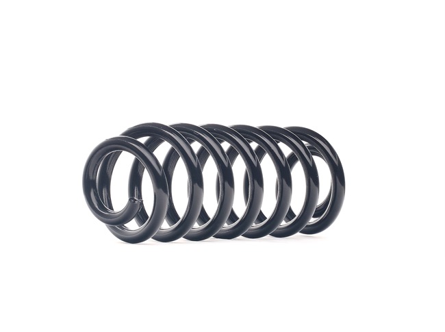 188C0793 RIDEX Muelles BMW X5