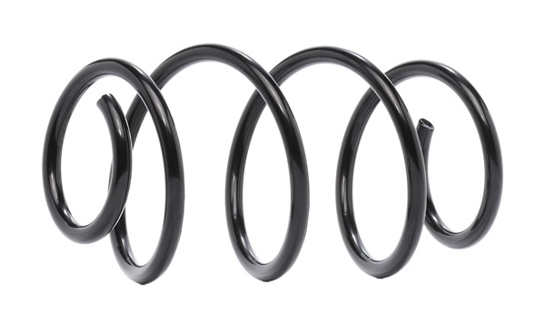 546302Y304 OE RIDEX Fjeder 188C0833