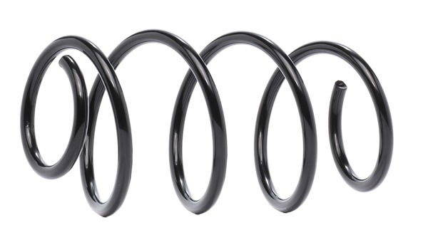 RIDEX 54630A6314 Jousi (auton jousitus) 188C0878