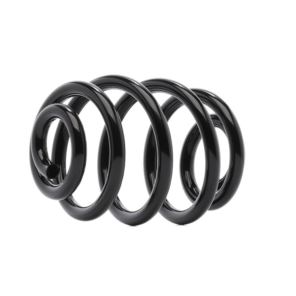 RIDEX 188C0974 Veer BMW Z4 E85 2.5 si Benzine 218 Pk 2007 kosten
