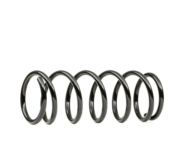 4131181A40 OE RIDEX Ressort de suspension 188C1000