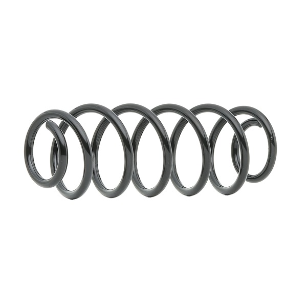 188C1105 RIDEX Muelles CITROЁN JUMPER