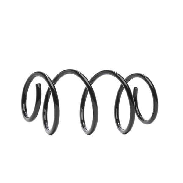 RIDEX 50709720 Chassisveer