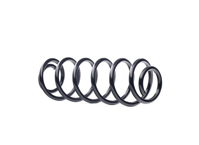 RIDEX 188C1354 Fjeder FORD FUSION (JU_) 1.25 Benzin 75 HK 2012 pris