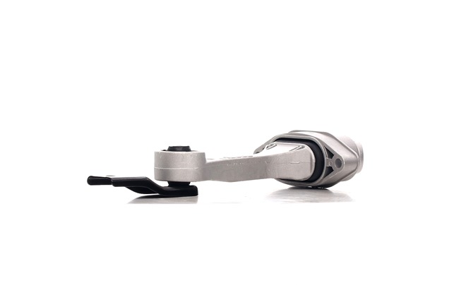 247E0382 Supporti motore RIDEX AUDI A3 prezzo