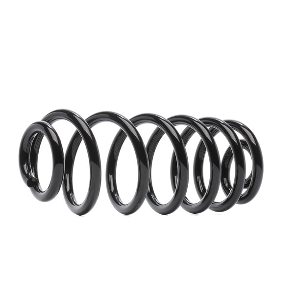 188C1637 RIDEX Muelles BMW X5