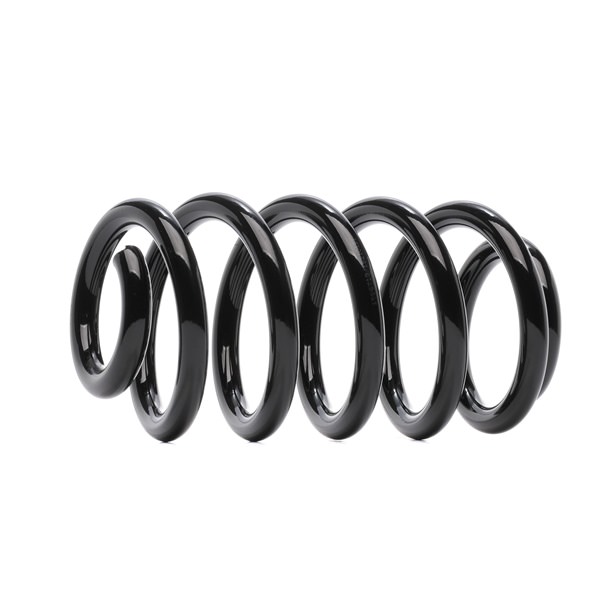 RIDEX 188C1688 Federn Audi A4 B6 Avant 1.8 T 150 PS Benzin 2002