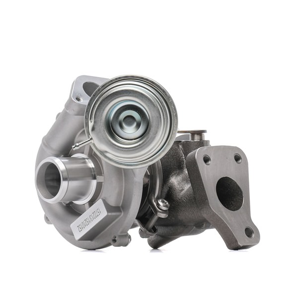 RIDEX 2234C0187 Turbo para motor Fiat Panda 169 1.3 D Multijet (169AXG1A, 169AXD1A) Gasóleo 75 cv 2008 precio