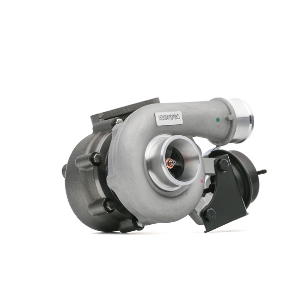 4913507310 OE RIDEX Turbopolnilnik 2234C0252