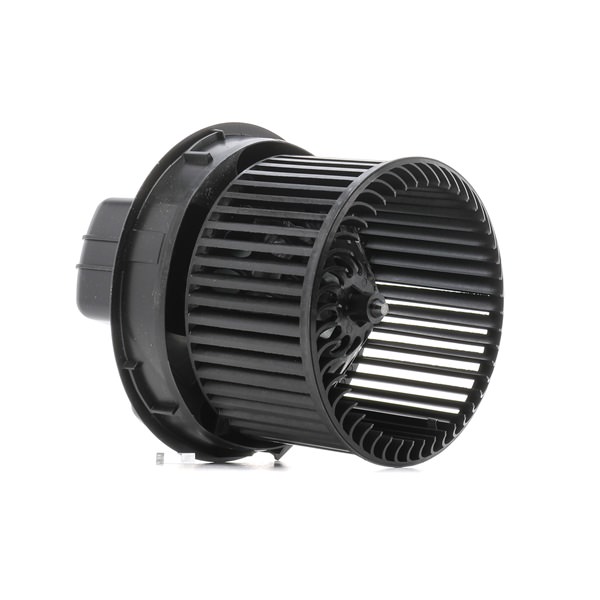 RIDEX 2669I0165 Kachelventilator CITROЁN C1 I 1.0 Benzine 68 Pk 2013 kosten