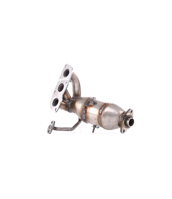 Katalizatoriaus RIDEX 429C0040 tinka TOYOTA pigu