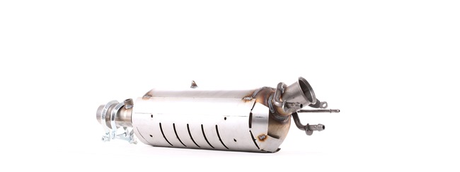 1731YJ OE RIDEX Partikelfilter (DPF) 1256S0027