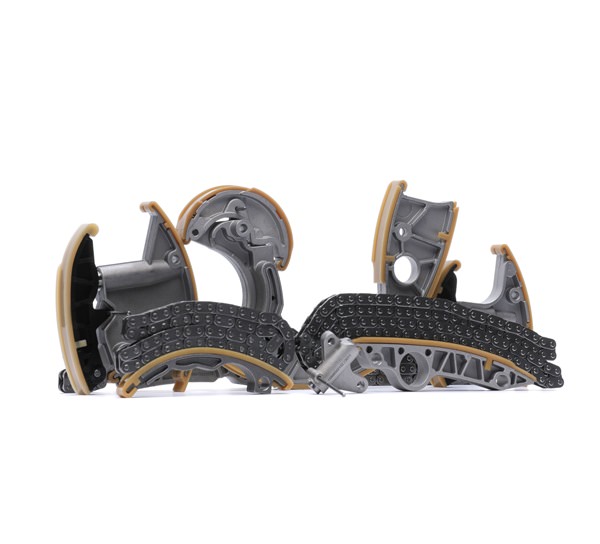 RIDEX 1389T0043 Catena distribuzione Audi A6 C6 Allroad 2.7 TDI quattro Diesel 163 CV 2006 prezzo