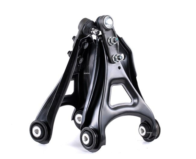 RIDEX 772S0163 Reparatieset, wieldraagarm RENAULT CLIO II (BB0/1/2_, CB0/1/2_) 1.2 LPG Benzine/Autogas (LPG) 58 Pk 2003 kosten