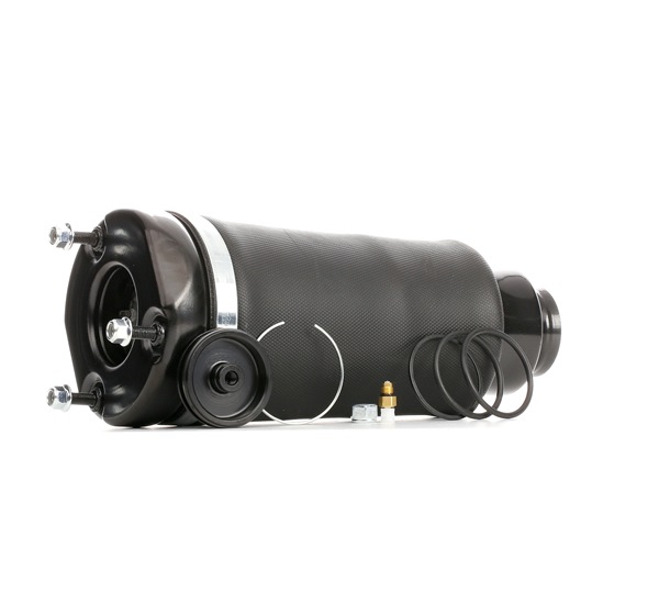 2513203013 OE RIDEX Luftfjeder 4119A0035