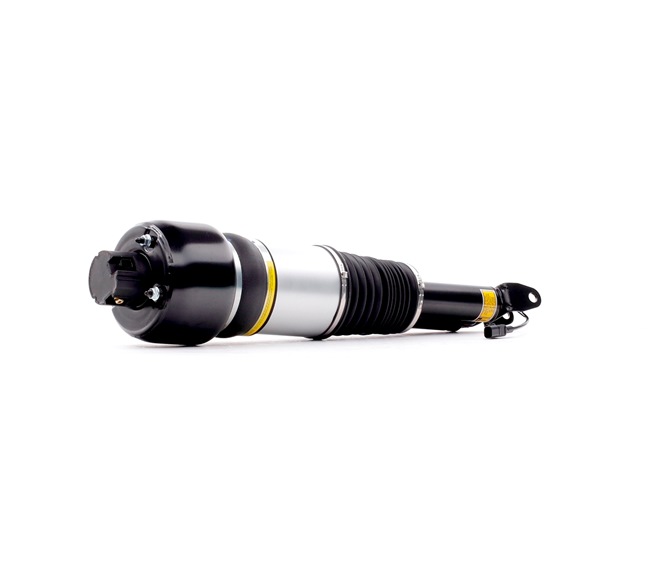 A2193201113 OE RIDEX Amortecedor pneumático 4118A0023