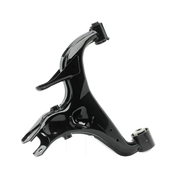 RIDEX 273C1701 Dreieckslenker LAND ROVER Discovery 3 (L319) 4.4 4x4 Benzin 305 PS 2005