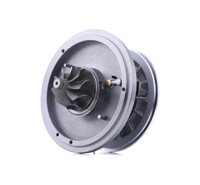 RIDEX 4973C0035 Turbocharger VW Passat B6 Variant 2.0 TDI Diesel 163 hp 2006 price